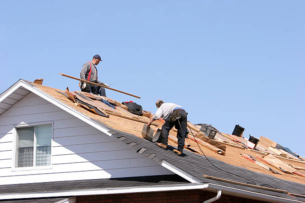 Roof Insulation in Mount Carmel, OH